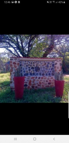 umbabala bush camp